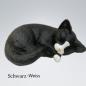 Preview: LK0118 Katzenurne Acryl Schwarz-weiss