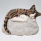 Preview: Katze Tiger weiss - Stein Sand