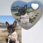 Preview: Herz Hundeurne nach Foto