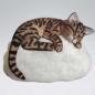 Preview: Katze Tiger - Stein Sand