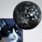 Preview: Kugelurne Katze im Licht - auch nach Foto
