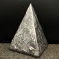 Preview: Tierurne Pyramide "Metropolis"