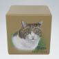 Preview: "Premiumportraiturne" Katzenurne mit Bild Ihrer Katze in Würfelform