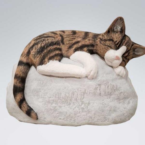 Katze Tiger weiss - Stein Sand