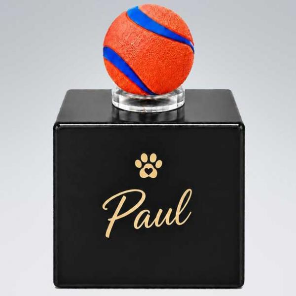 Lieblingsballurne für Hunde