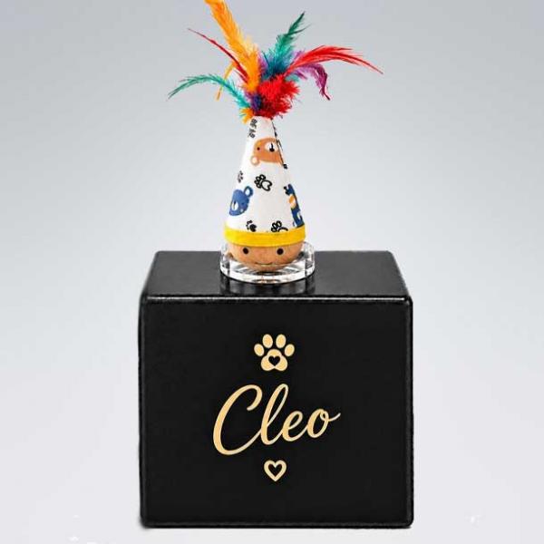 Lieblingsballurne für Katzen