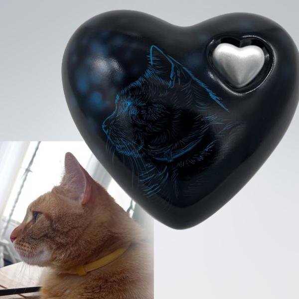 Katzenurne Katze im Licht Blau - auch mit Ihrer Katze