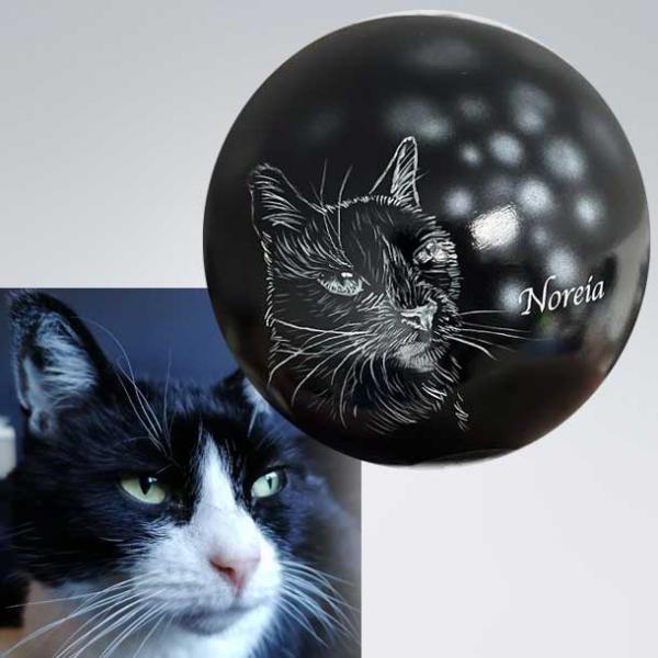 Kugelurne Katze im Licht - auch nach Foto