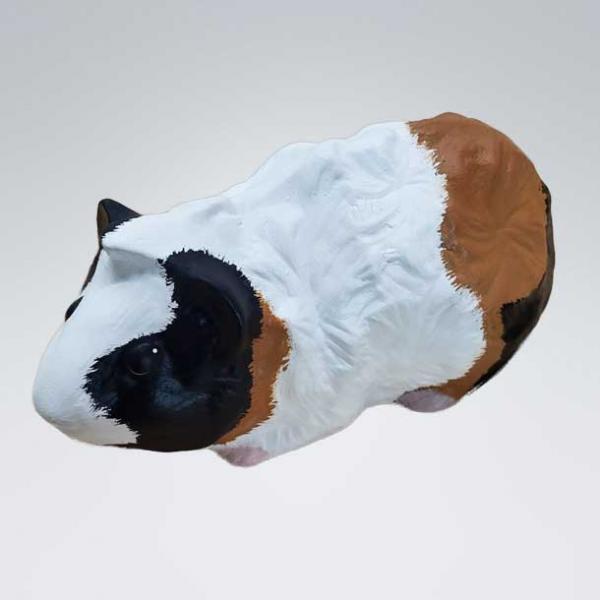 LK0111 Meerschweinchen nach Foto