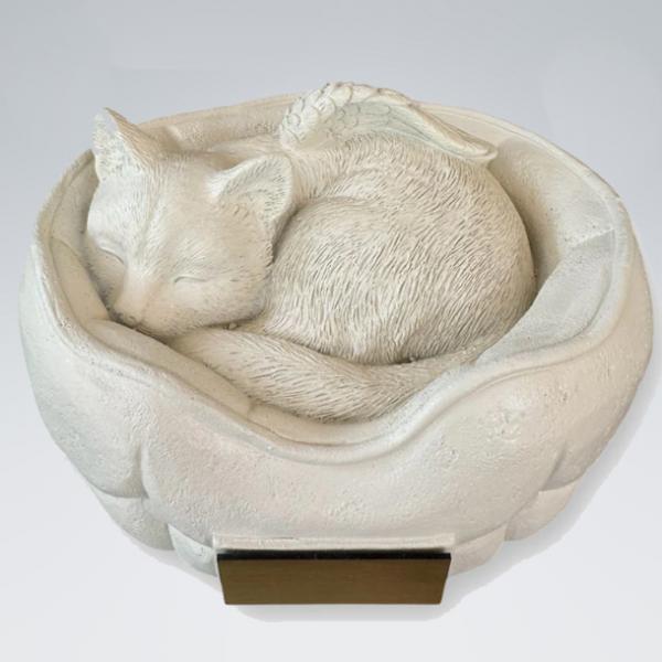 Katzenurne Schlafende Katze  Katze