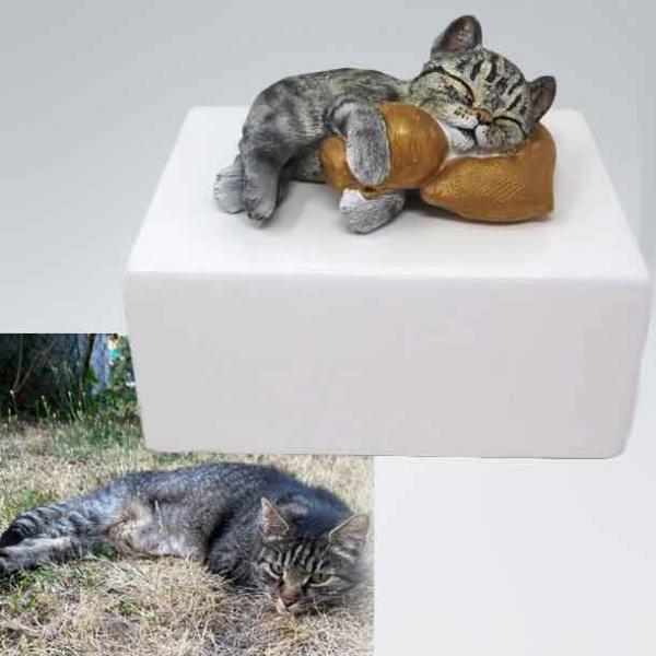 Katzenurne Katze auf Kissen mit Teelicht