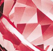 Rot