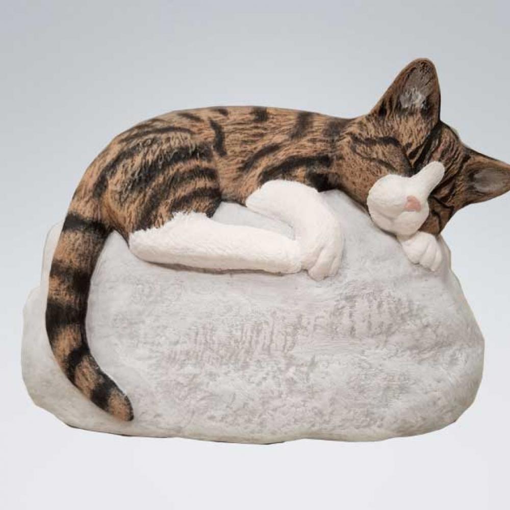 Katze Tiger weiss - Stein Sand