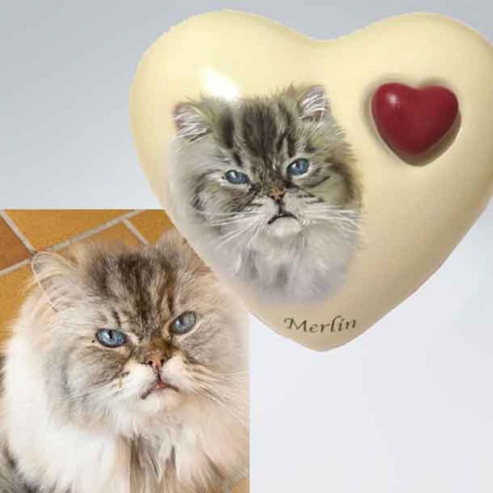 Herz Katzenurne nach Foto bemalt