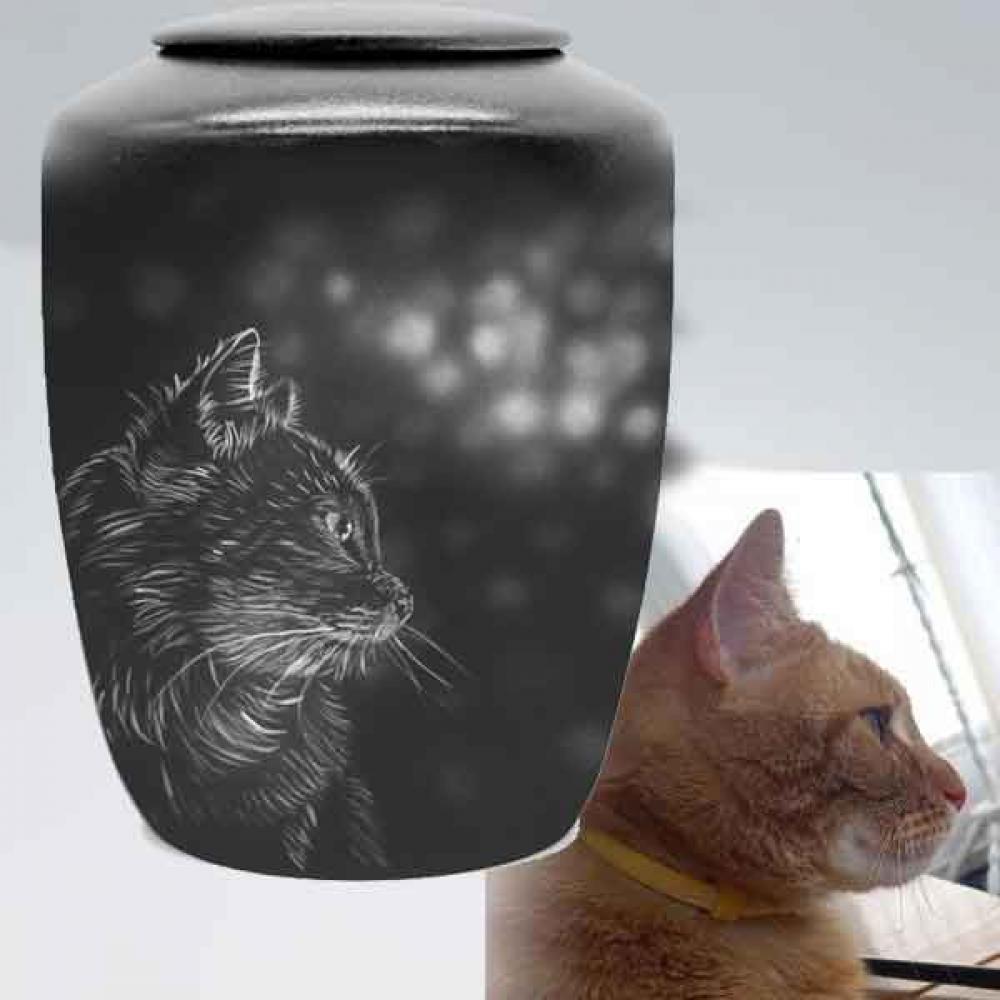 Katze im Licht +Teelicht - auch nach Foto