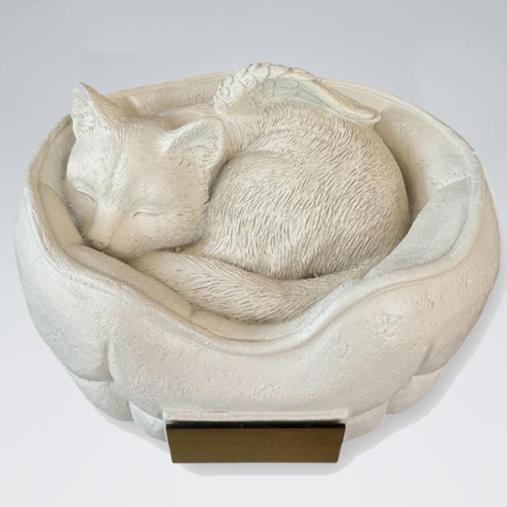 Katzenurne Schlafende Katze  Katze