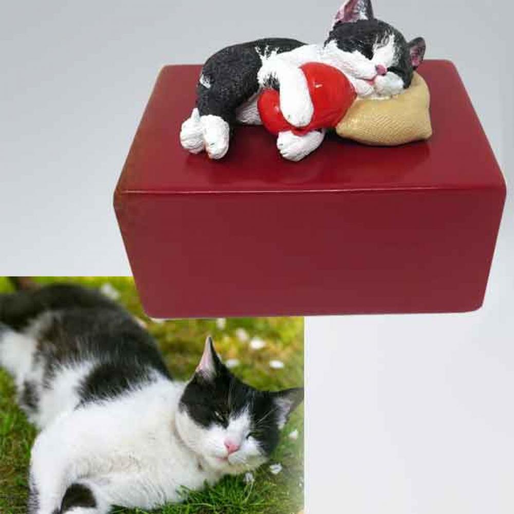 Katzenurne Katze auf Kissen mit Teelicht
