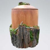 H1503 Holzurne Motiv Wald mit Moos