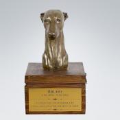 Holzurne mit Gravur Whippet