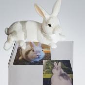 LK0160 Hasenmutter nach Foto