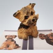 LK0144 Yorkshire-Terrier Welpe nach Foto