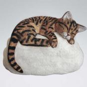 Katze Tiger - Stein Sand